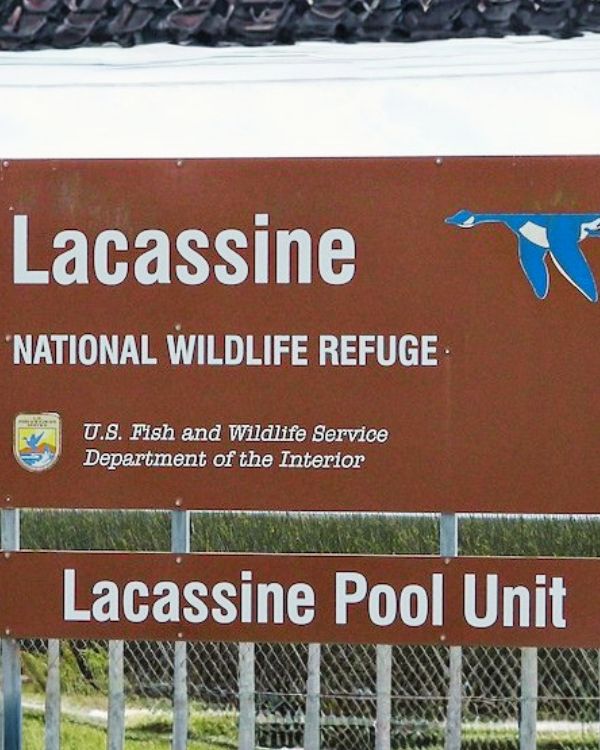 Famous landmarks of Iowa Louisiana including rice fields, Highway 90 corridor, Iowa High School, and crawfish farming ponds